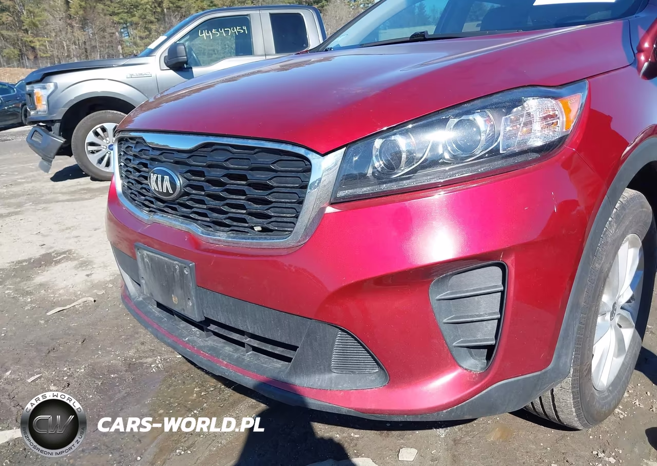 2019 Kia Sorento 2.4L Lx VIN:5XYPGDA32KG565955 - 6