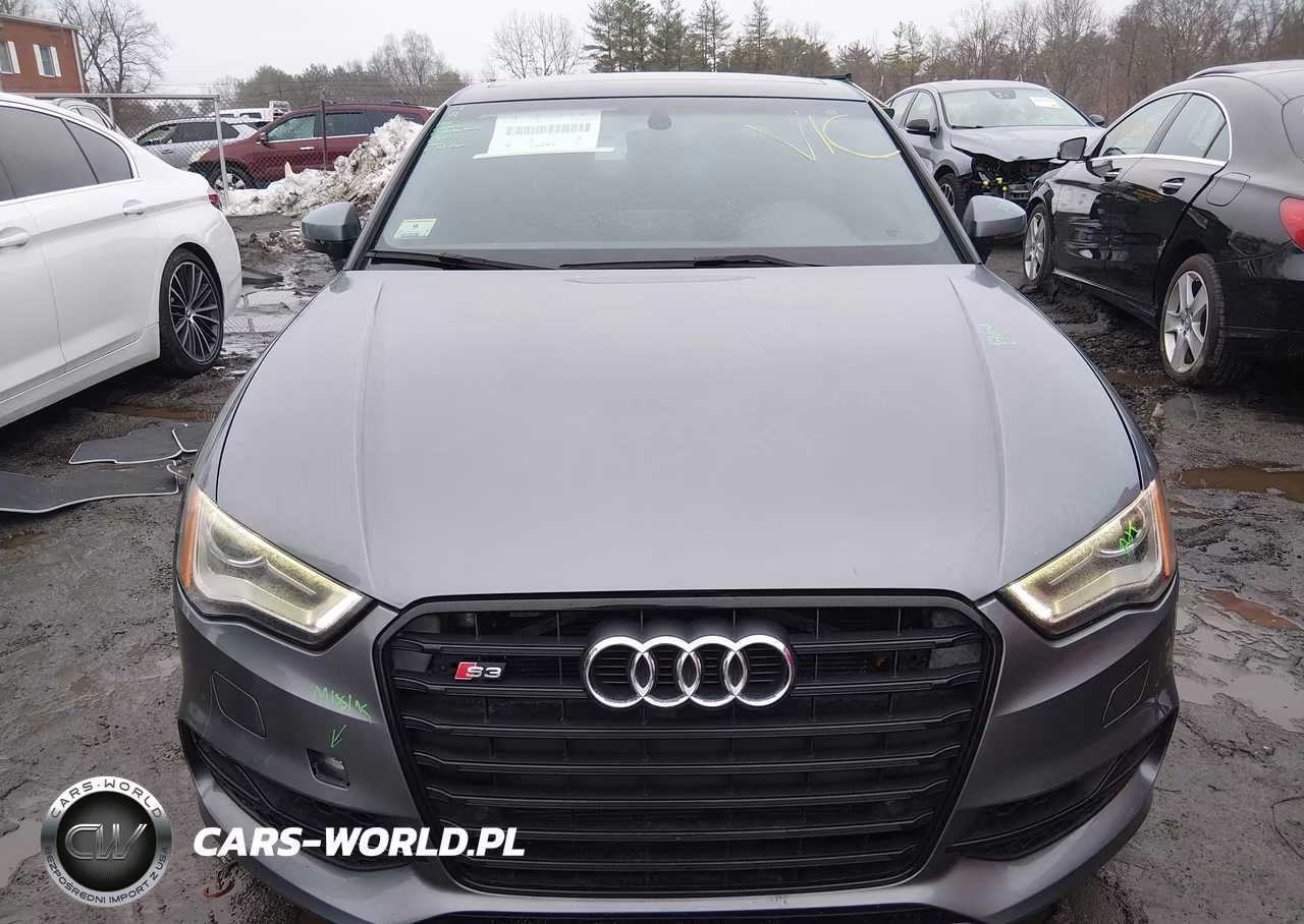 2016 Audi S3 2.0T Premium Plus VIN:WAUB1GFF9G1036846 - 12