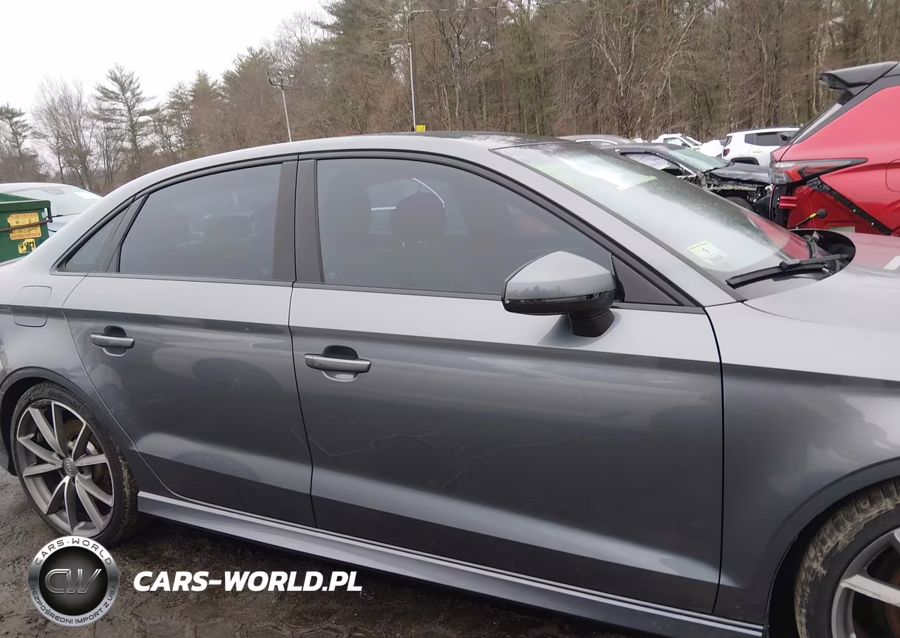 2016 Audi S3 2.0T Premium Plus VIN:WAUB1GFF9G1036846 - 13