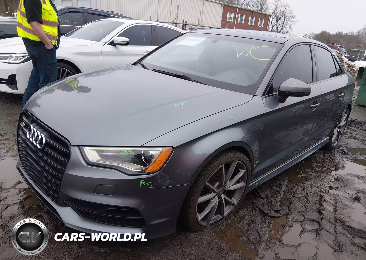 2016 Audi S3 2.0T Premium Plus VIN:WAUB1GFF9G1036846 - 2