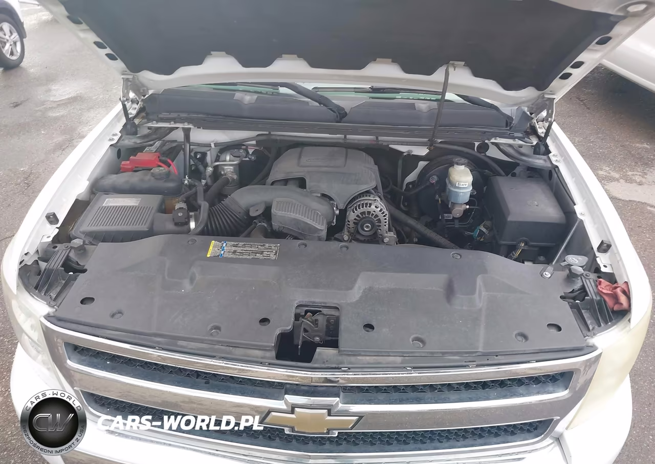 2010 Chevrolet Silverado 1500 Work Truck VIN:1GCSCPE04AZ191078 - 10