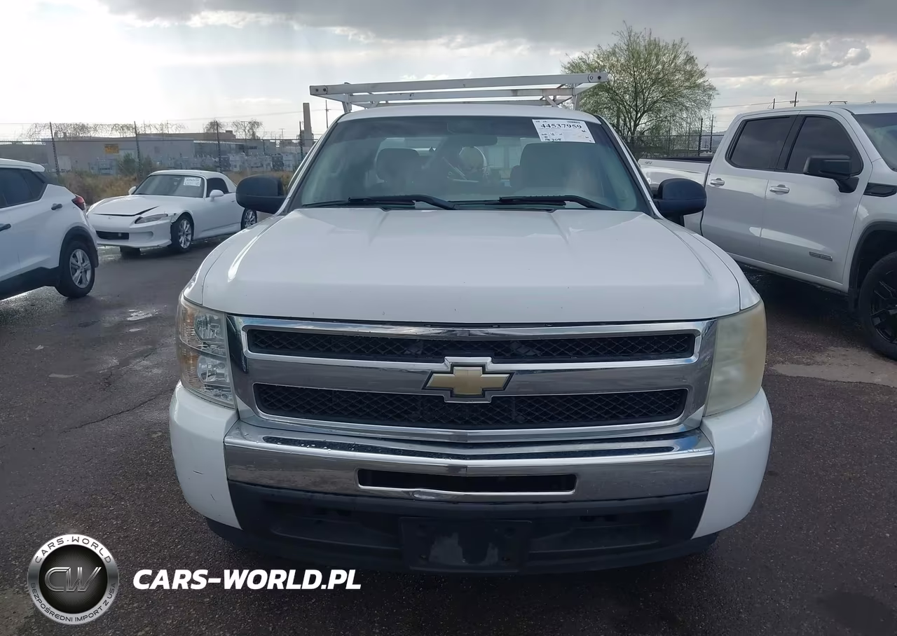 2010 Chevrolet Silverado 1500 Work Truck VIN:1GCSCPE04AZ191078 - 12