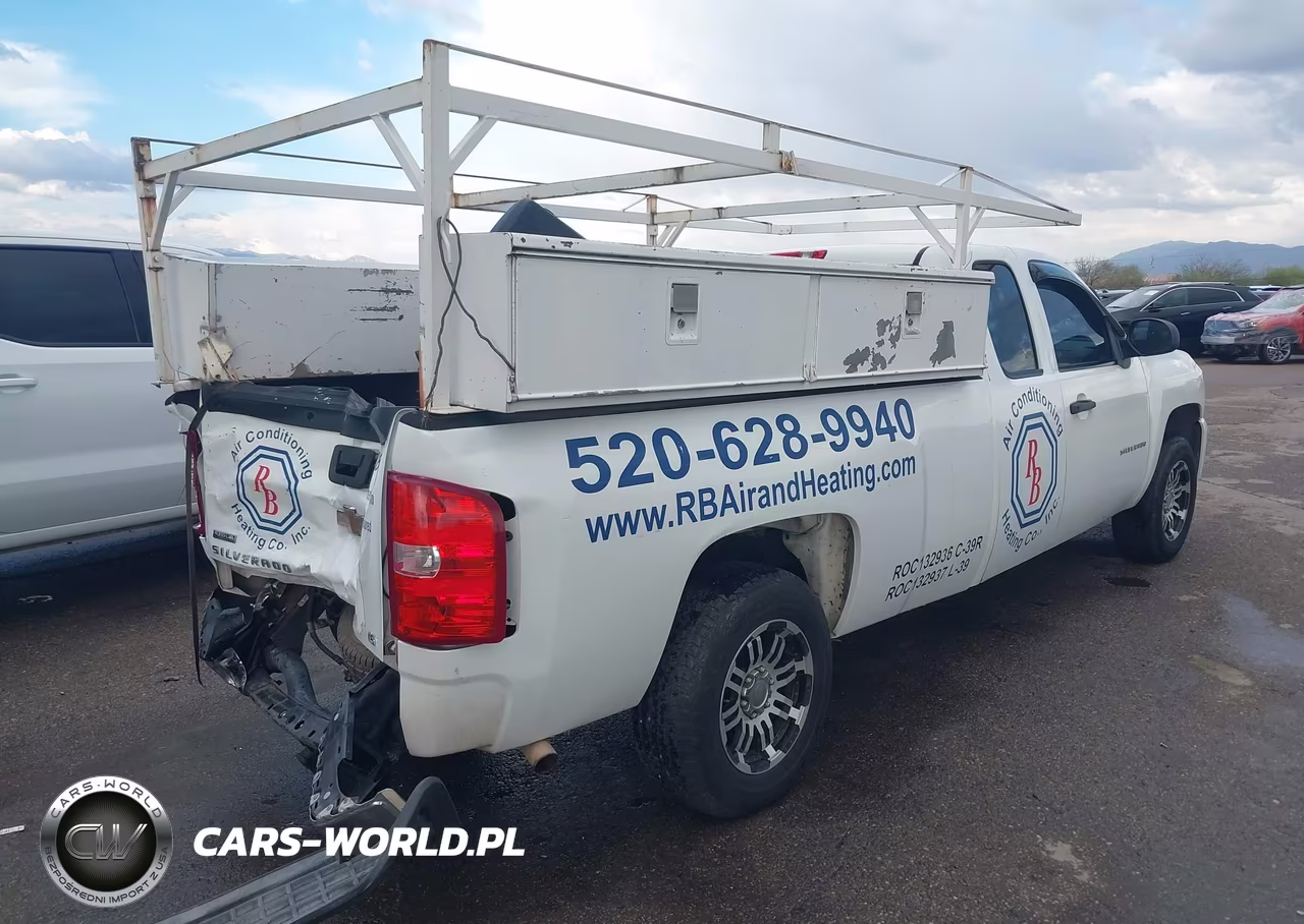 2010 Chevrolet Silverado 1500 Work Truck VIN:1GCSCPE04AZ191078 - 4