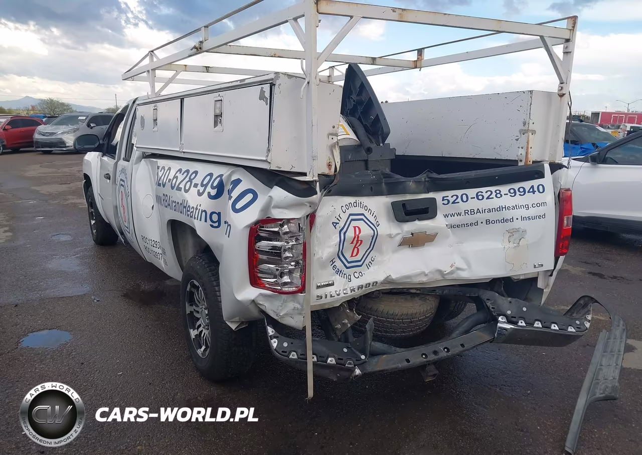 2010 Chevrolet Silverado 1500 Work Truck VIN:1GCSCPE04AZ191078 - 6
