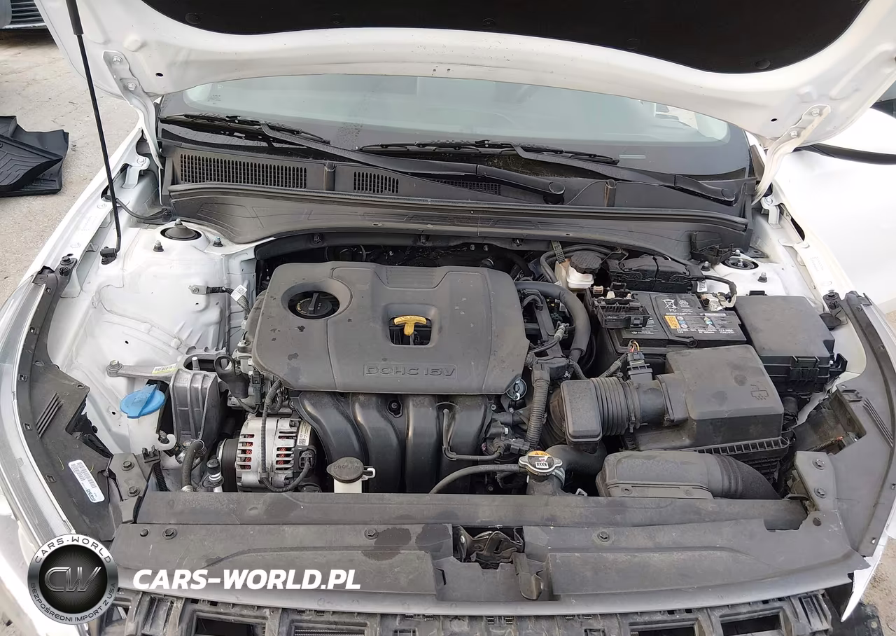 2021 Kia Forte Fe VIN:3KPF24AD4ME396704 - 10