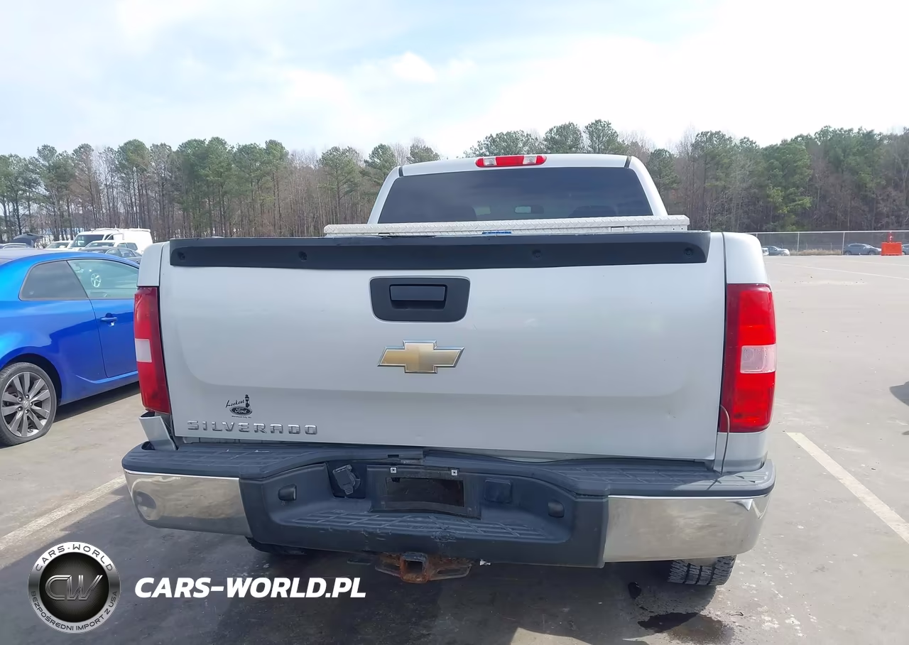 2011 Chevrolet Silverado 1500 Work Truck VIN:1GCRCPEX4BZ343342 - 16
