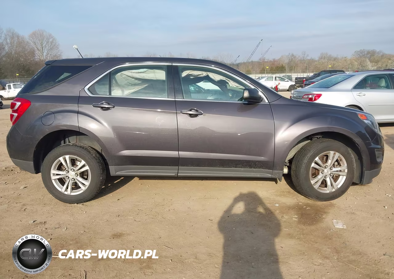 2016 Chevrolet Equinox Ls VIN:2GNFLEEK9G6316417 - 13