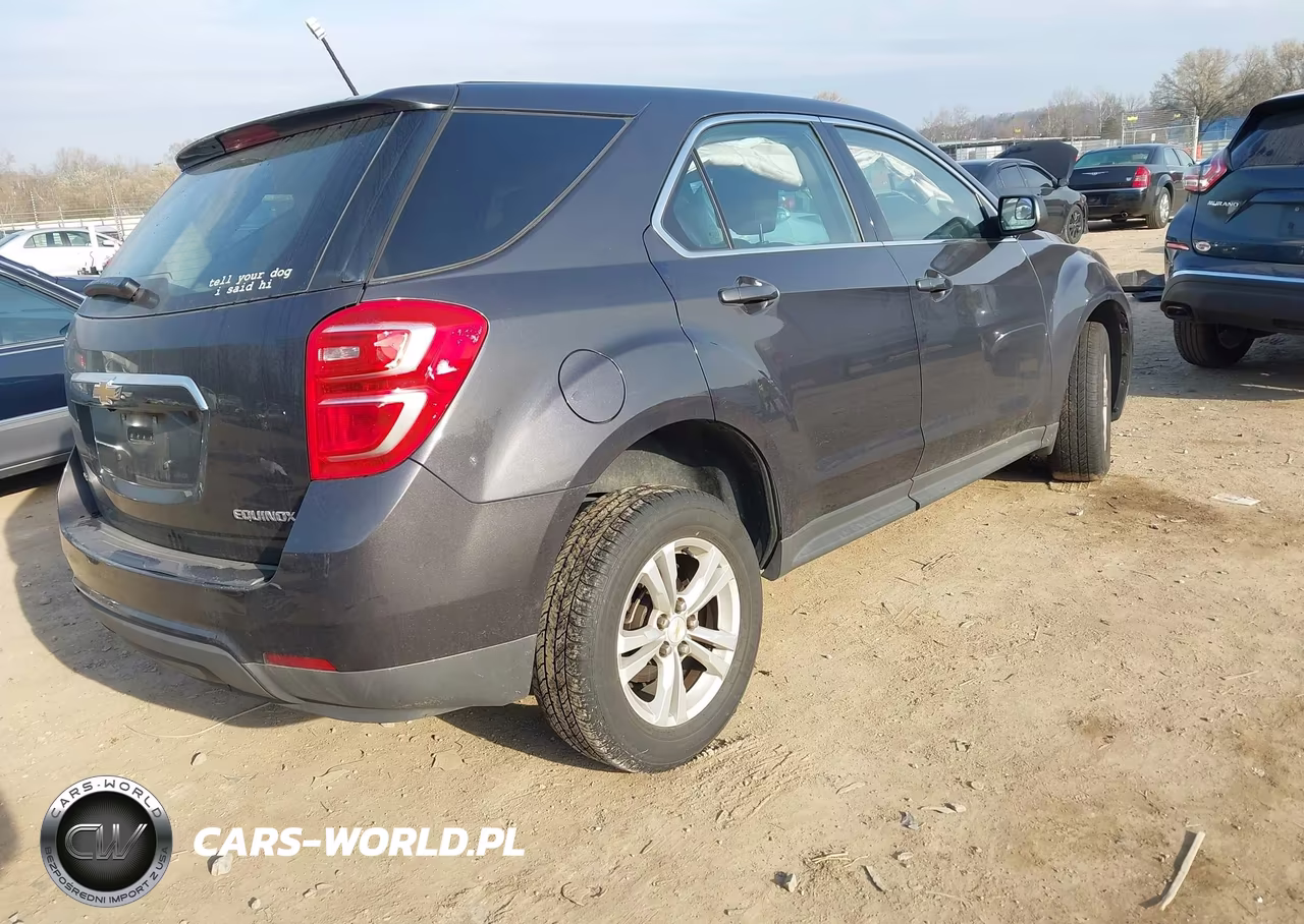 2016 Chevrolet Equinox Ls VIN:2GNFLEEK9G6316417 - 4