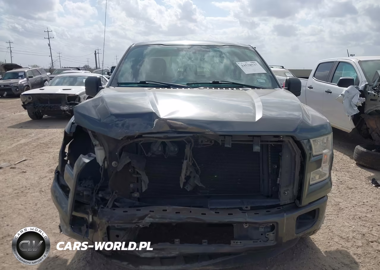 2016 Ford F-150 Xl-Xlt VIN:1FTEX1C88GFA77635 - 13