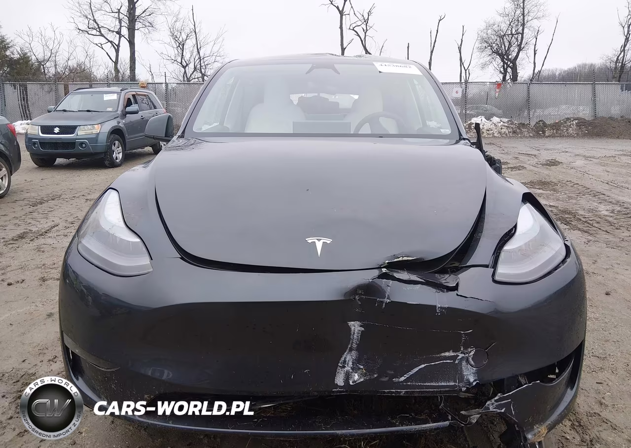 2025 Tesla Model Y Long Range Dual Motor All-Wheel Drive VIN:7SAYGDEE1SA354124 - 12