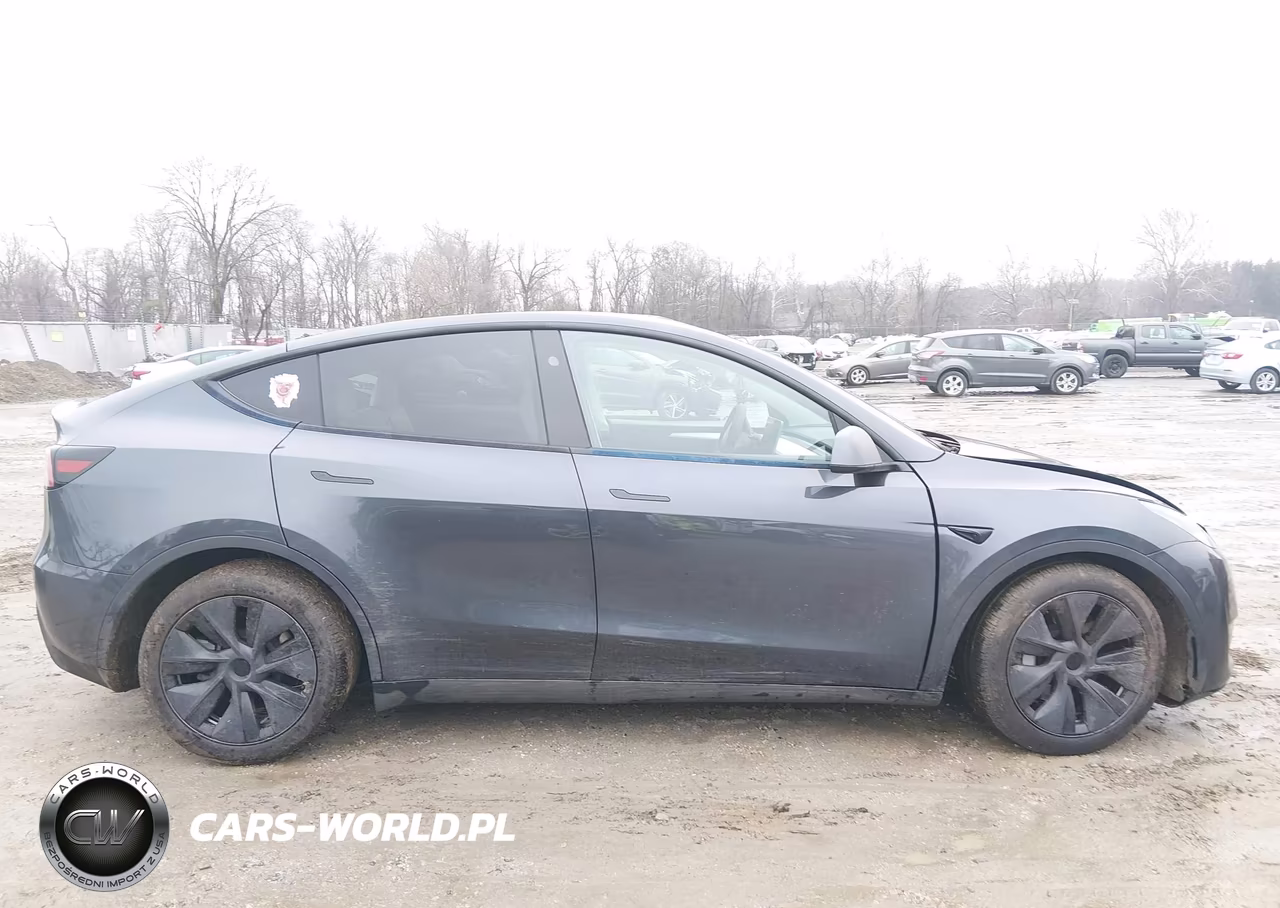 2025 Tesla Model Y Long Range Dual Motor All-Wheel Drive VIN:7SAYGDEE1SA354124 - 13