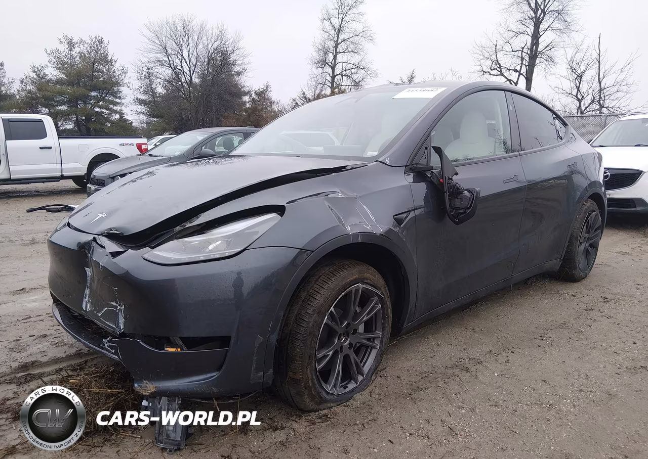 2025 Tesla Model Y Long Range Dual Motor All-Wheel Drive VIN:7SAYGDEE1SA354124 - 2
