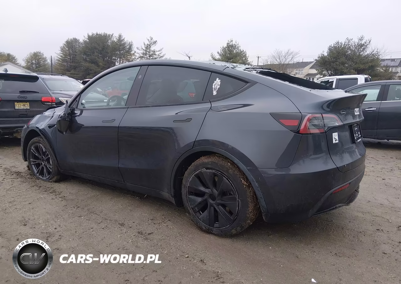 2025 Tesla Model Y Long Range Dual Motor All-Wheel Drive VIN:7SAYGDEE1SA354124 - 3