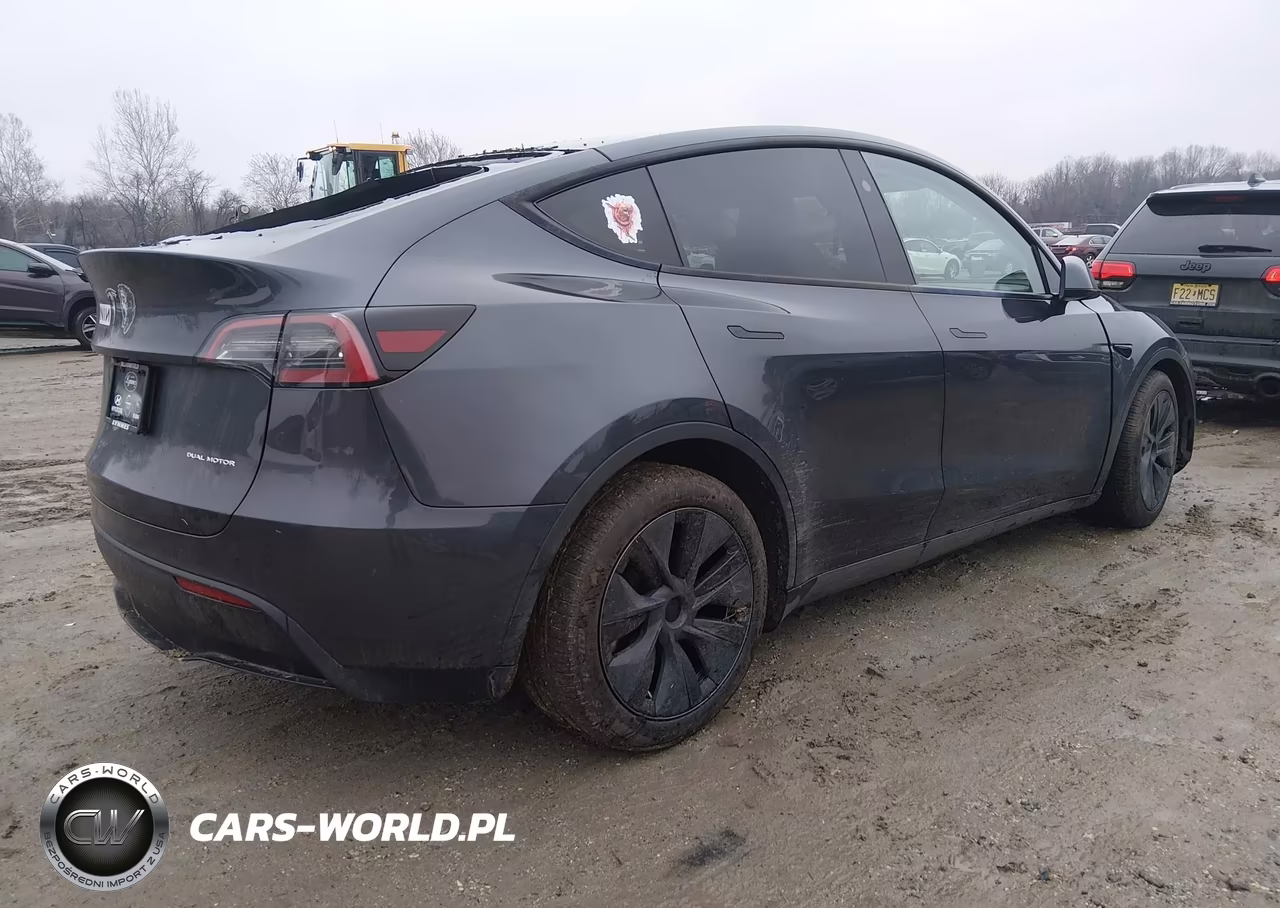 2025 Tesla Model Y Long Range Dual Motor All-Wheel Drive VIN:7SAYGDEE1SA354124 - 4