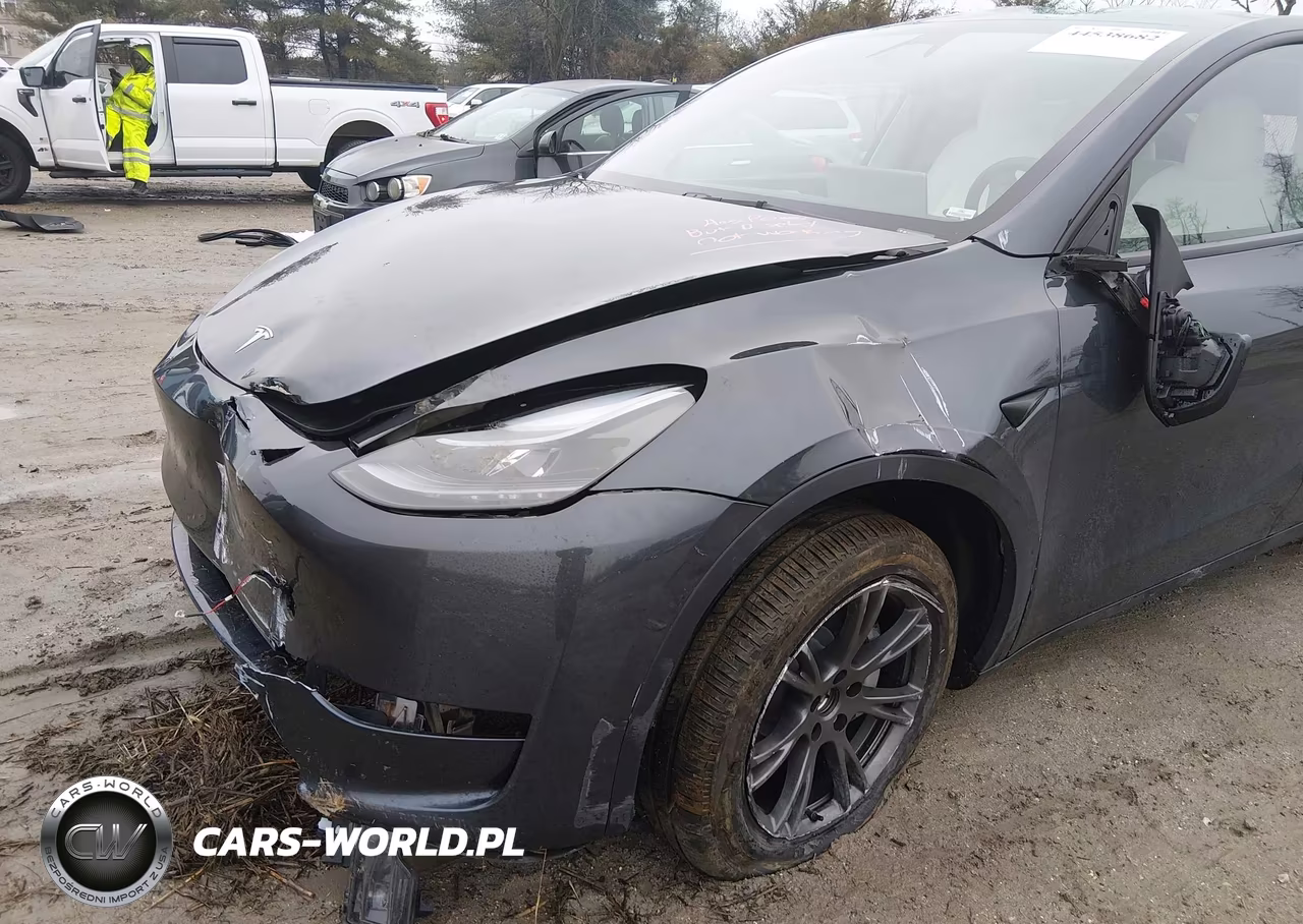 2025 Tesla Model Y Long Range Dual Motor All-Wheel Drive VIN:7SAYGDEE1SA354124 - 6