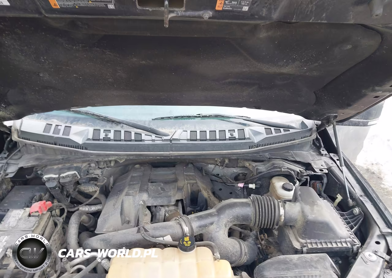 2016 Ford F-150 Xlt VIN:1FTEW1EP4GFC69304 - 10