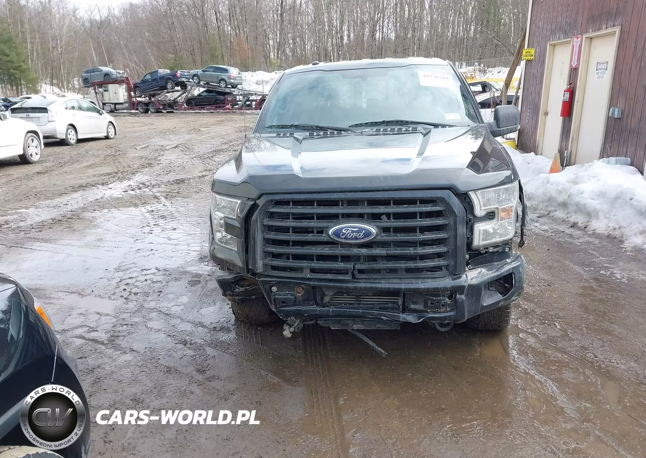 2016 Ford F-150 Xlt VIN:1FTEW1EP4GFC69304 - 12