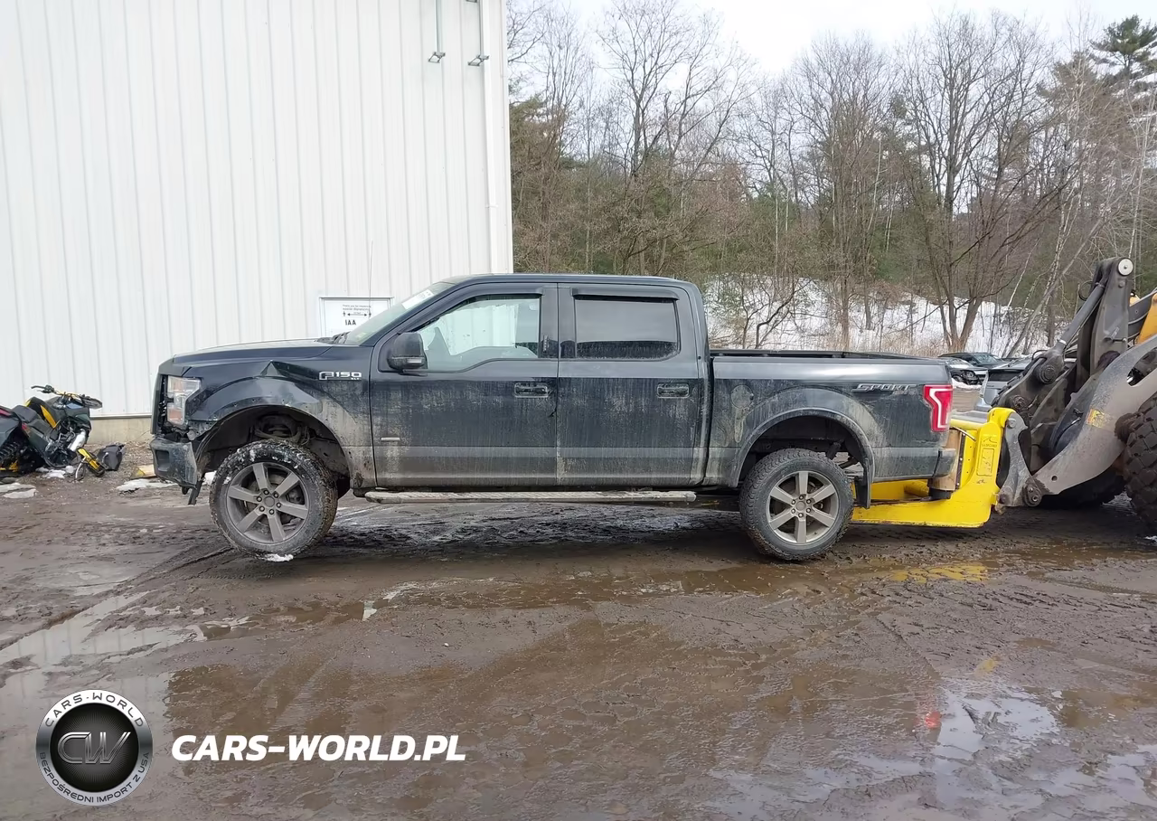 2016 Ford F-150 Xlt VIN:1FTEW1EP4GFC69304 - 14