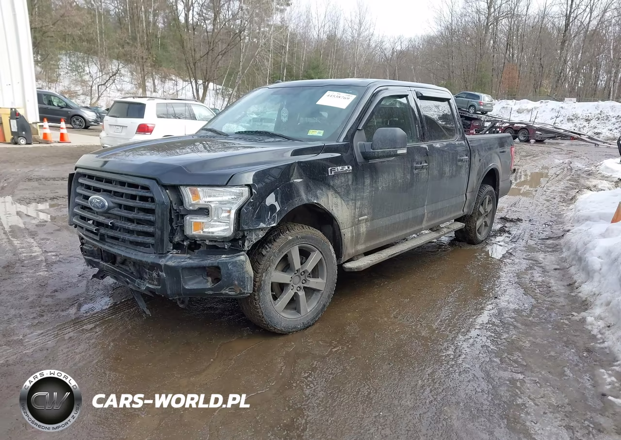 2016 Ford F-150 Xlt VIN:1FTEW1EP4GFC69304 - 2