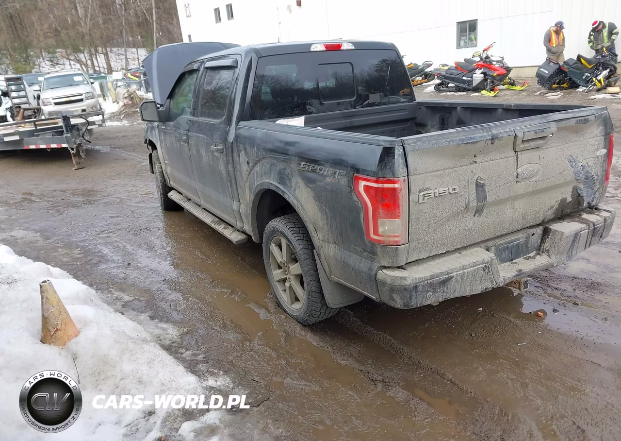 2016 Ford F-150 Xlt VIN:1FTEW1EP4GFC69304 - 3