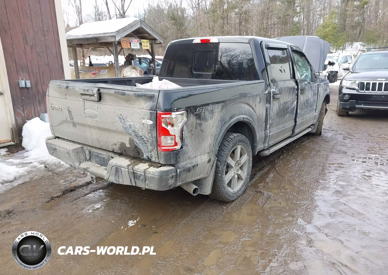2016 Ford F-150 Xlt VIN:1FTEW1EP4GFC69304 - 4