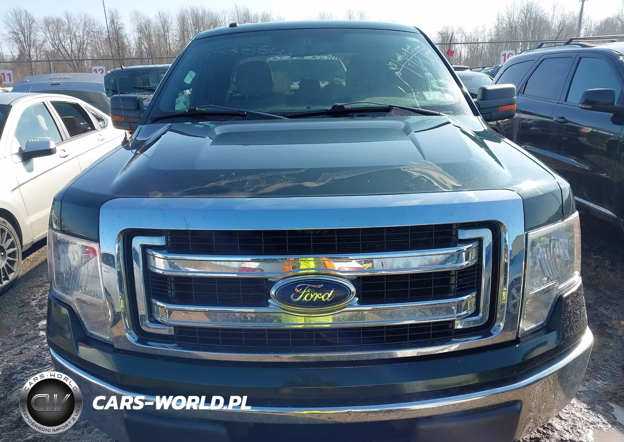 2013 Ford F-150 Xlt VIN:1FTFX1EF6DFA00919 - 12