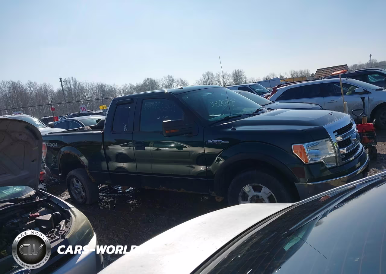 2013 Ford F-150 Xlt VIN:1FTFX1EF6DFA00919 - 13