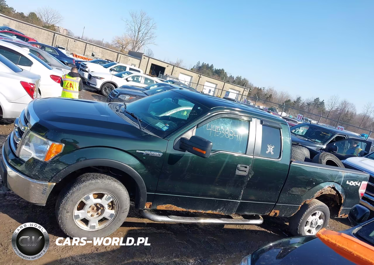 2013 Ford F-150 Xlt VIN:1FTFX1EF6DFA00919 - 14