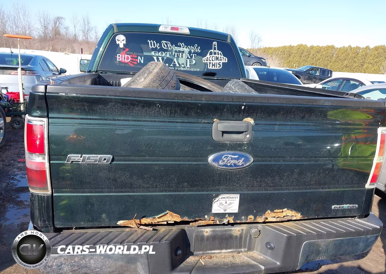 2013 Ford F-150 Xlt VIN:1FTFX1EF6DFA00919 - 16
