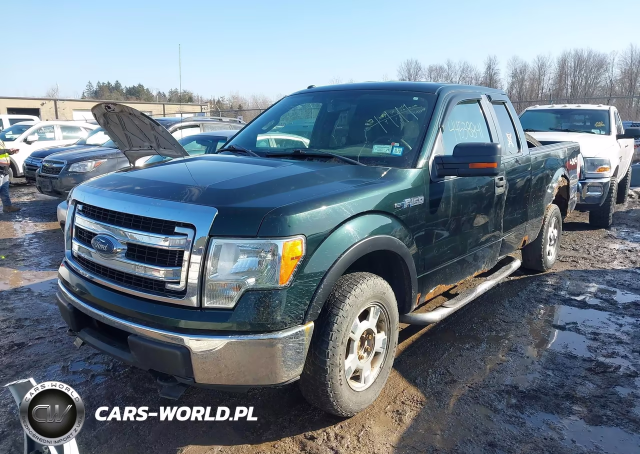 2013 Ford F-150 Xlt VIN:1FTFX1EF6DFA00919 - 2