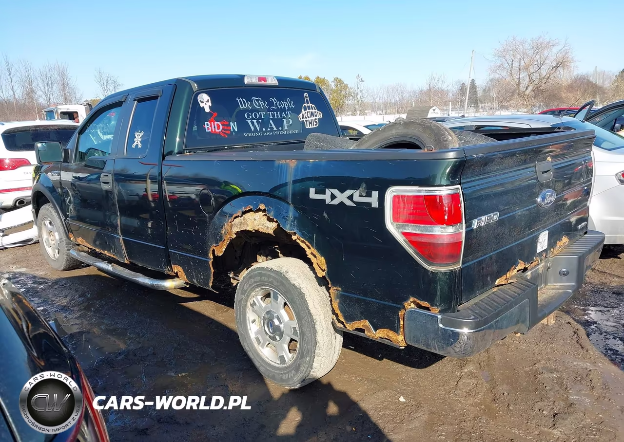 2013 Ford F-150 Xlt VIN:1FTFX1EF6DFA00919 - 3