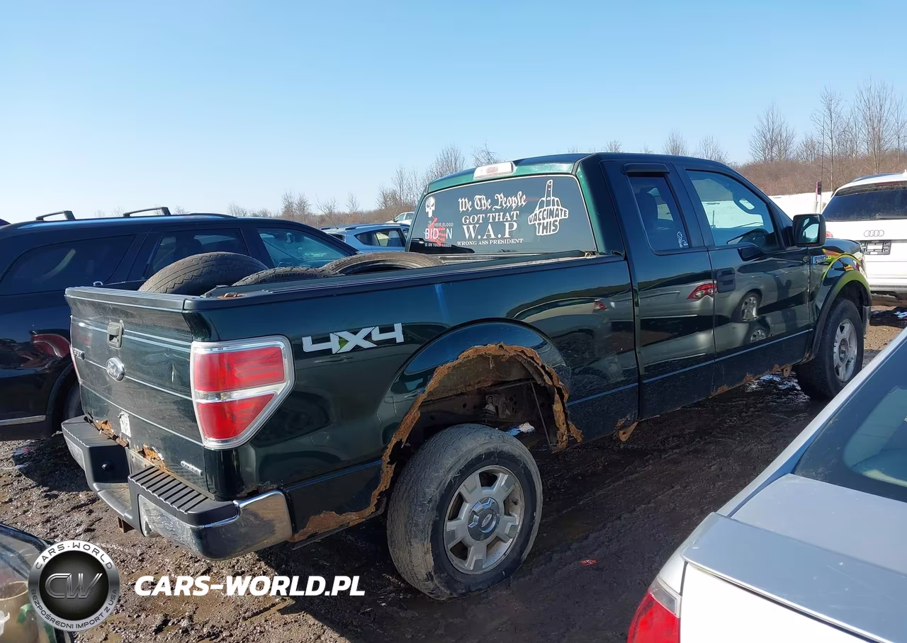 2013 Ford F-150 Xlt VIN:1FTFX1EF6DFA00919 - 4
