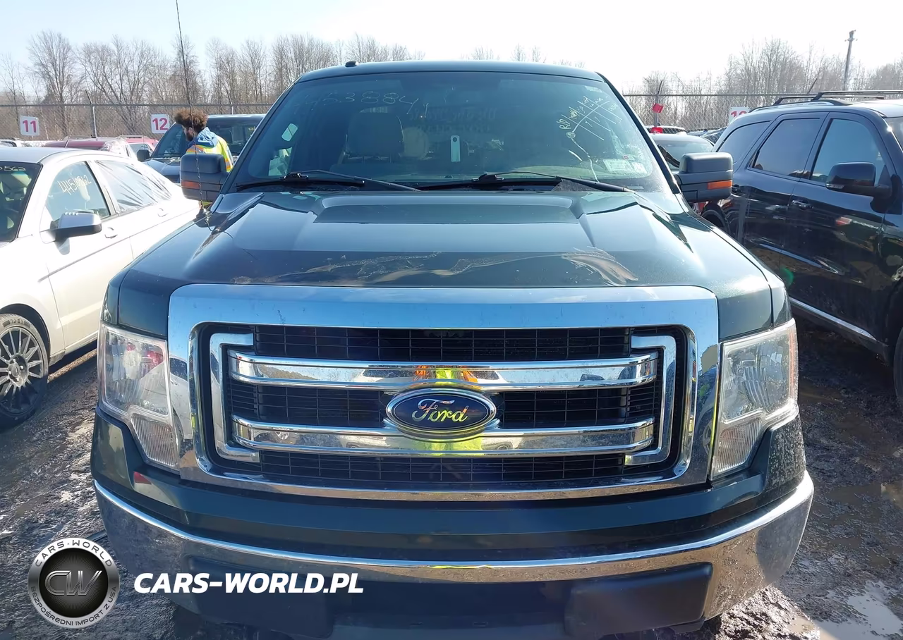 2013 Ford F-150 Xlt VIN:1FTFX1EF6DFA00919 - 6