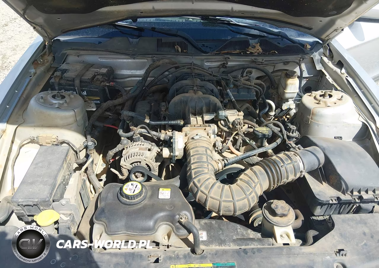 2010 Ford Mustang V6-V6 Premium VIN:1ZVBP8AN6A5113630 - 10
