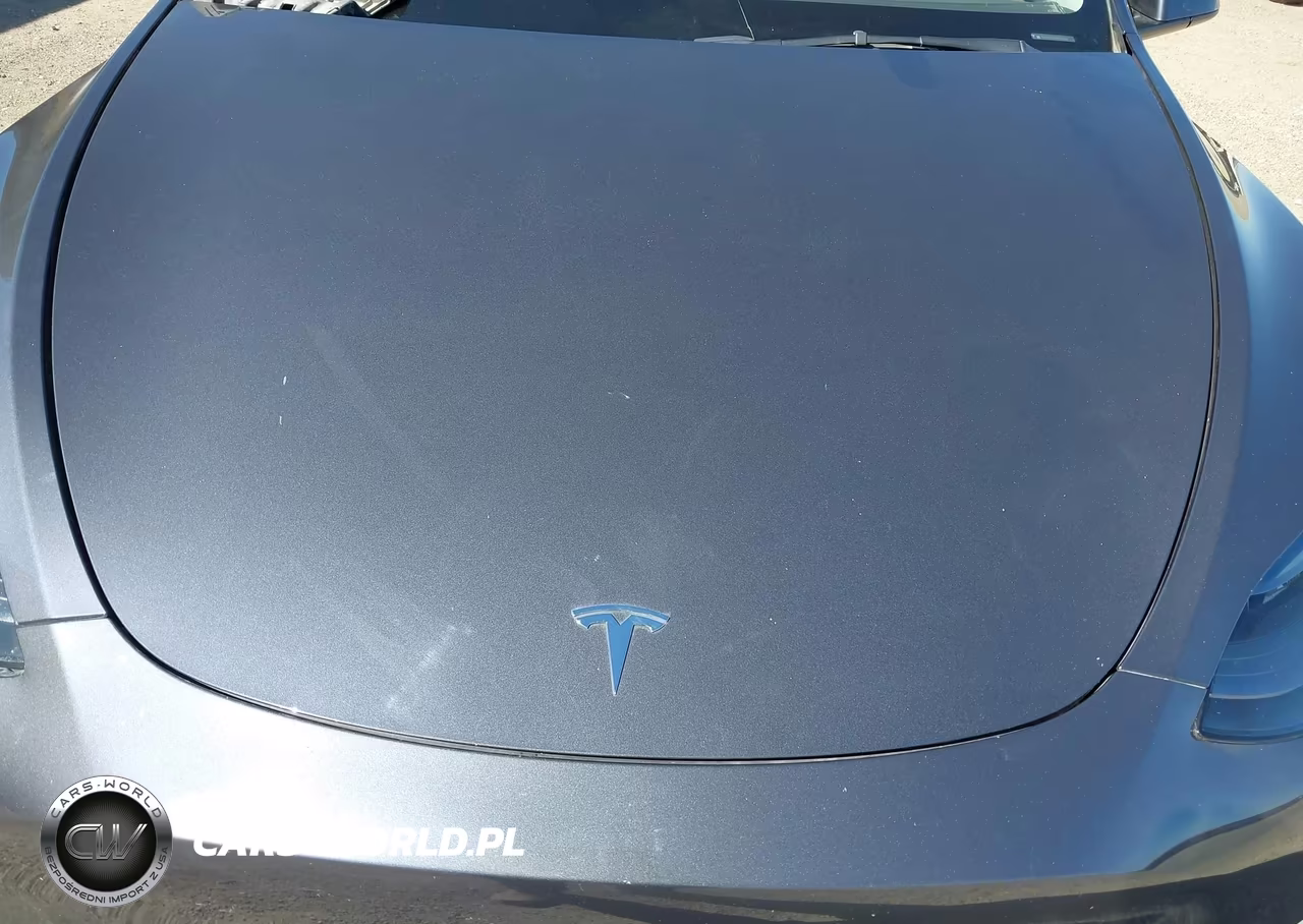 2022 Tesla Model Y Performance Dual Motor All-Wheel Drive VIN:7SAYGDEF1NF535143 - 10