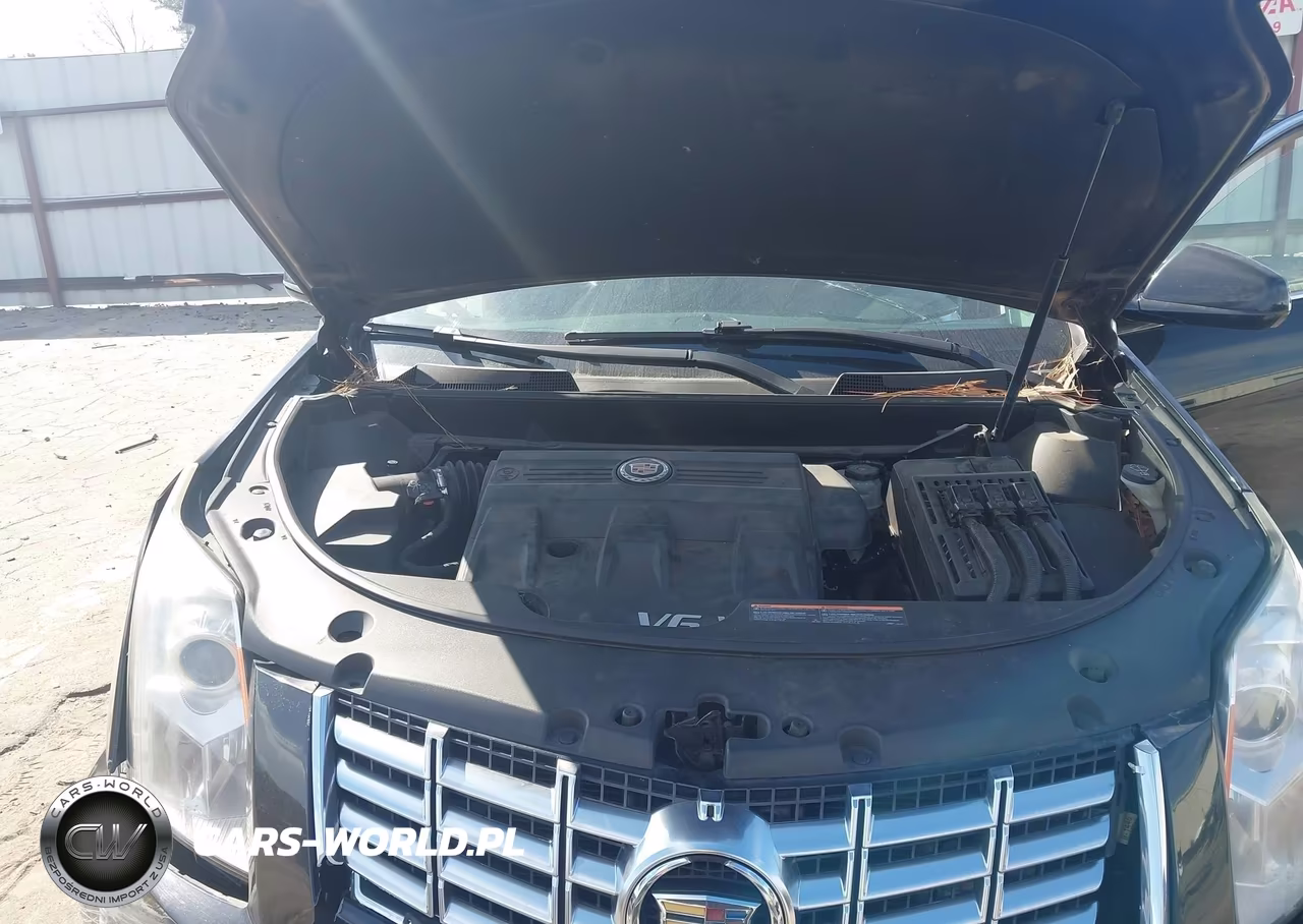 2013 Cadillac Srx Luxury Collection VIN:3GYFNCE38DS624685 - 10