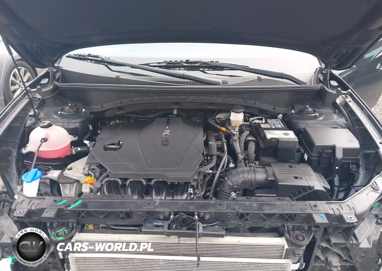 2024 Hyundai Tucson Sel VIN:5NMJBCDE7RH305353 - 10