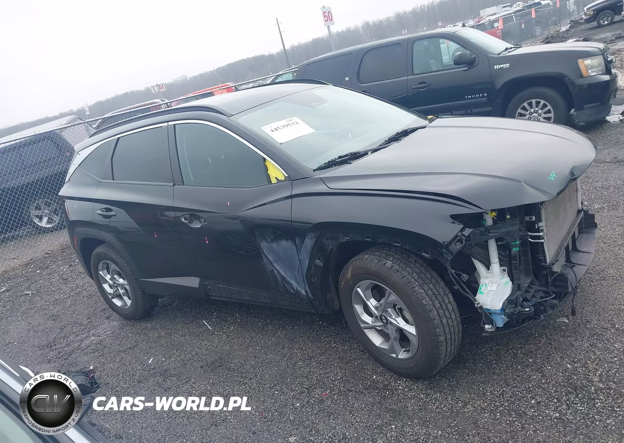 2024 Hyundai Tucson Sel VIN:5NMJBCDE7RH305353 - 13