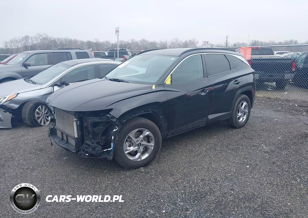 2024 Hyundai Tucson Sel VIN:5NMJBCDE7RH305353 - 2