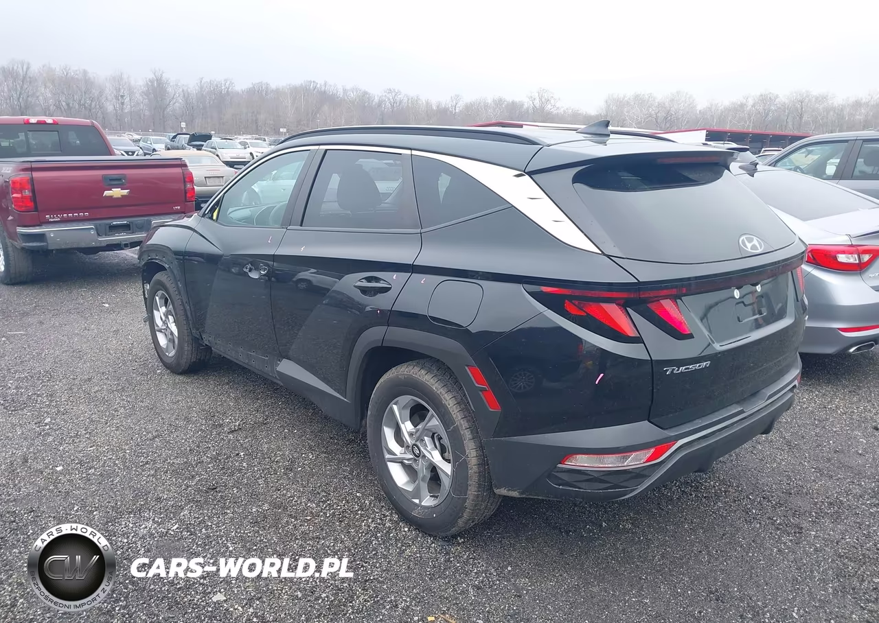 2024 Hyundai Tucson Sel VIN:5NMJBCDE7RH305353 - 3