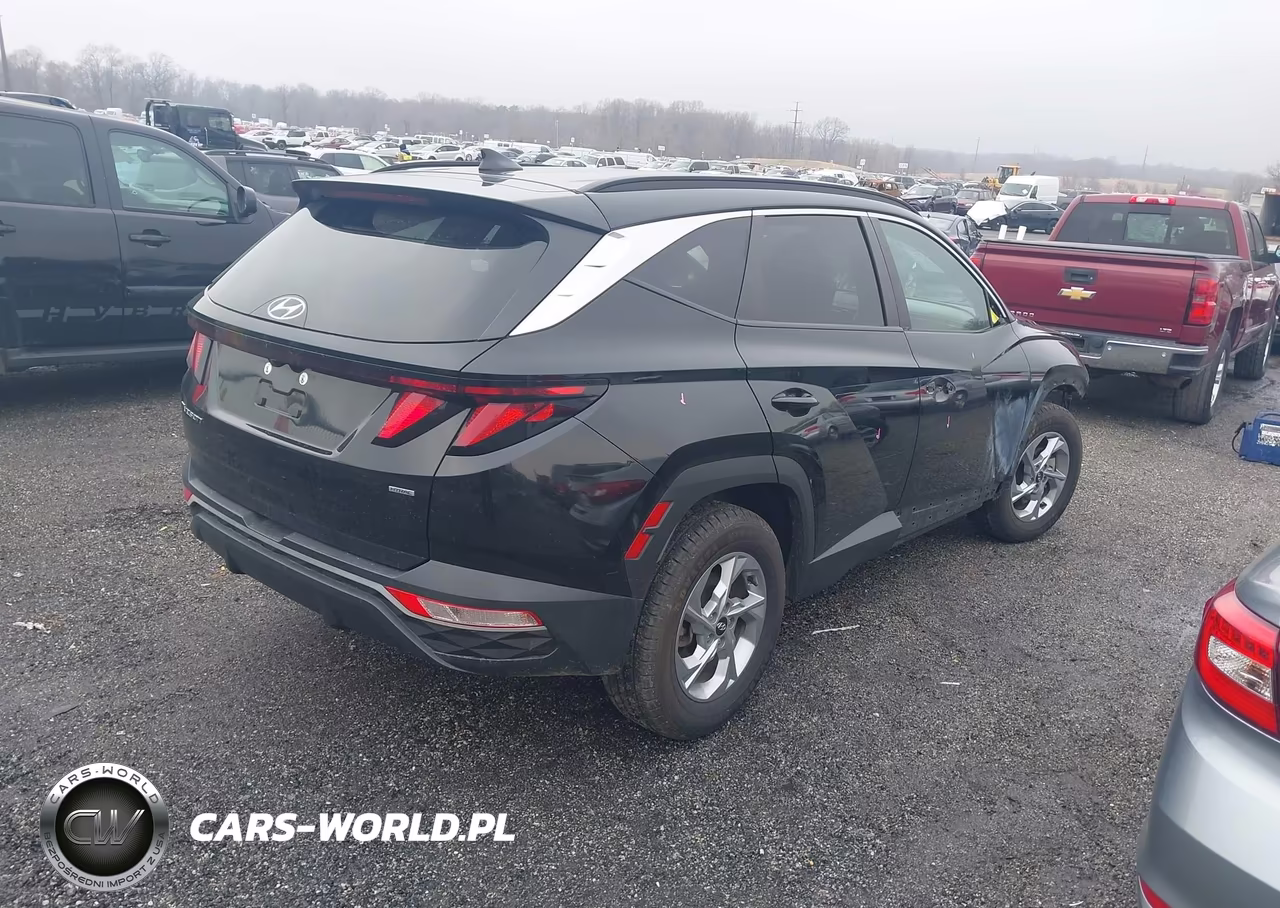 2024 Hyundai Tucson Sel VIN:5NMJBCDE7RH305353 - 4