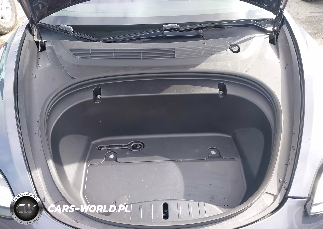 2020 Tesla Model 3 Performance Dual Motor All-Wheel Drive VIN:5YJ3E1EC5LF721217 - 10
