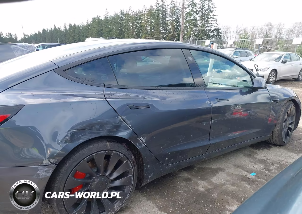 2020 Tesla Model 3 Performance Dual Motor All-Wheel Drive VIN:5YJ3E1EC5LF721217 - 13