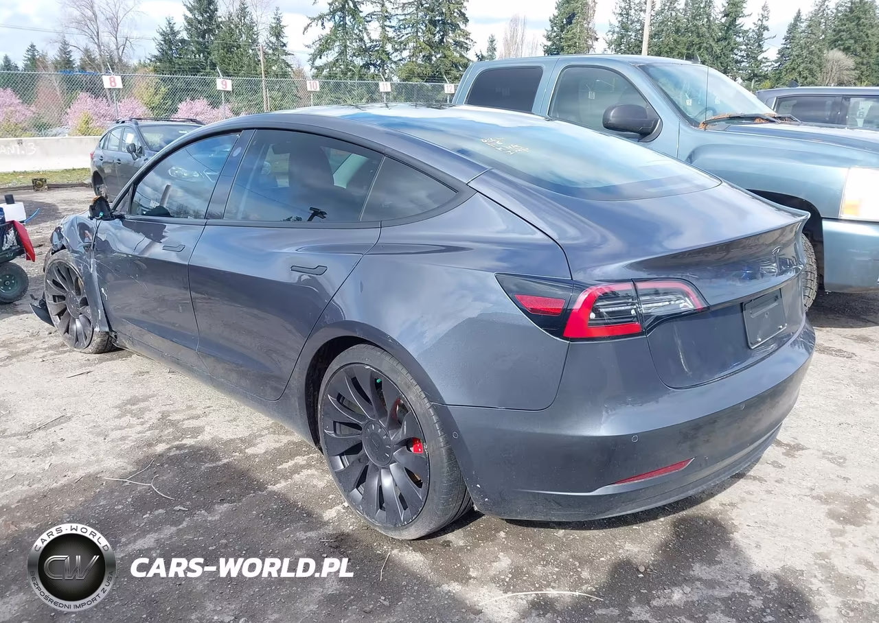 2020 Tesla Model 3 Performance Dual Motor All-Wheel Drive VIN:5YJ3E1EC5LF721217 - 3