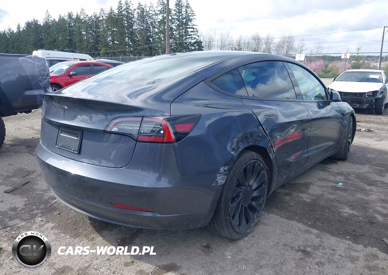 2020 Tesla Model 3 Performance Dual Motor All-Wheel Drive VIN:5YJ3E1EC5LF721217 - 4