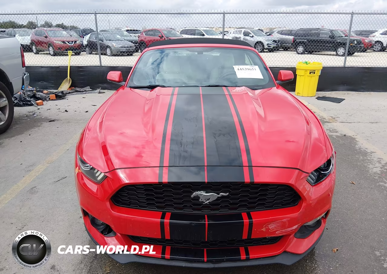 2017 Ford Mustang Ecoboost Premium VIN:1FATP8UHXH5313259 - 13