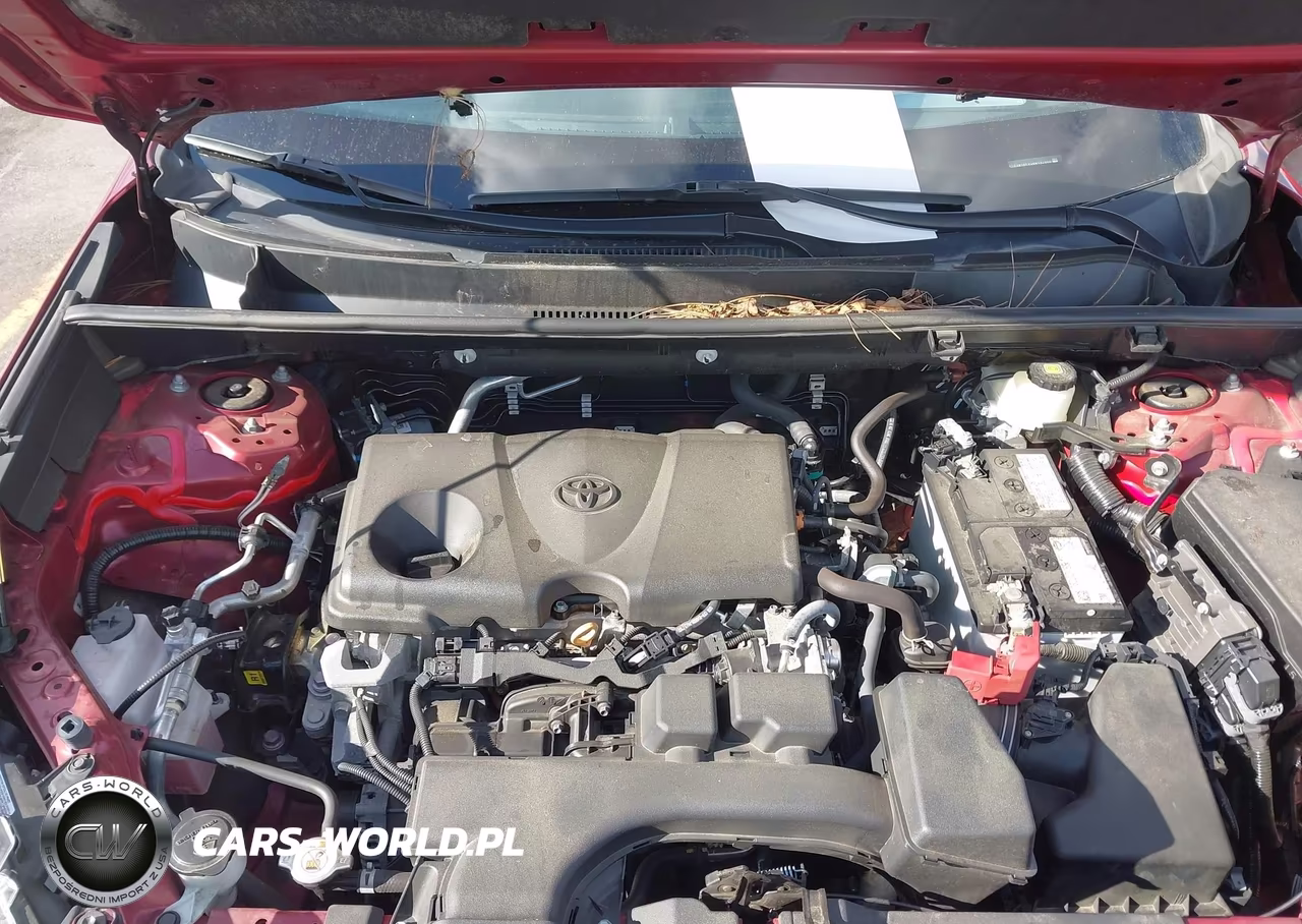 2022 Toyota Rav4 Xle VIN:2T3W1RFV0NW192666 - 10