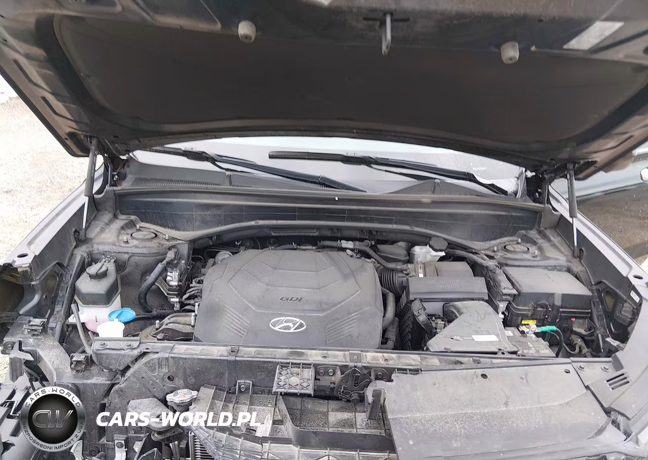 2023 Hyundai Palisade Limited VIN:KM8R54GE6PU530070 - 10