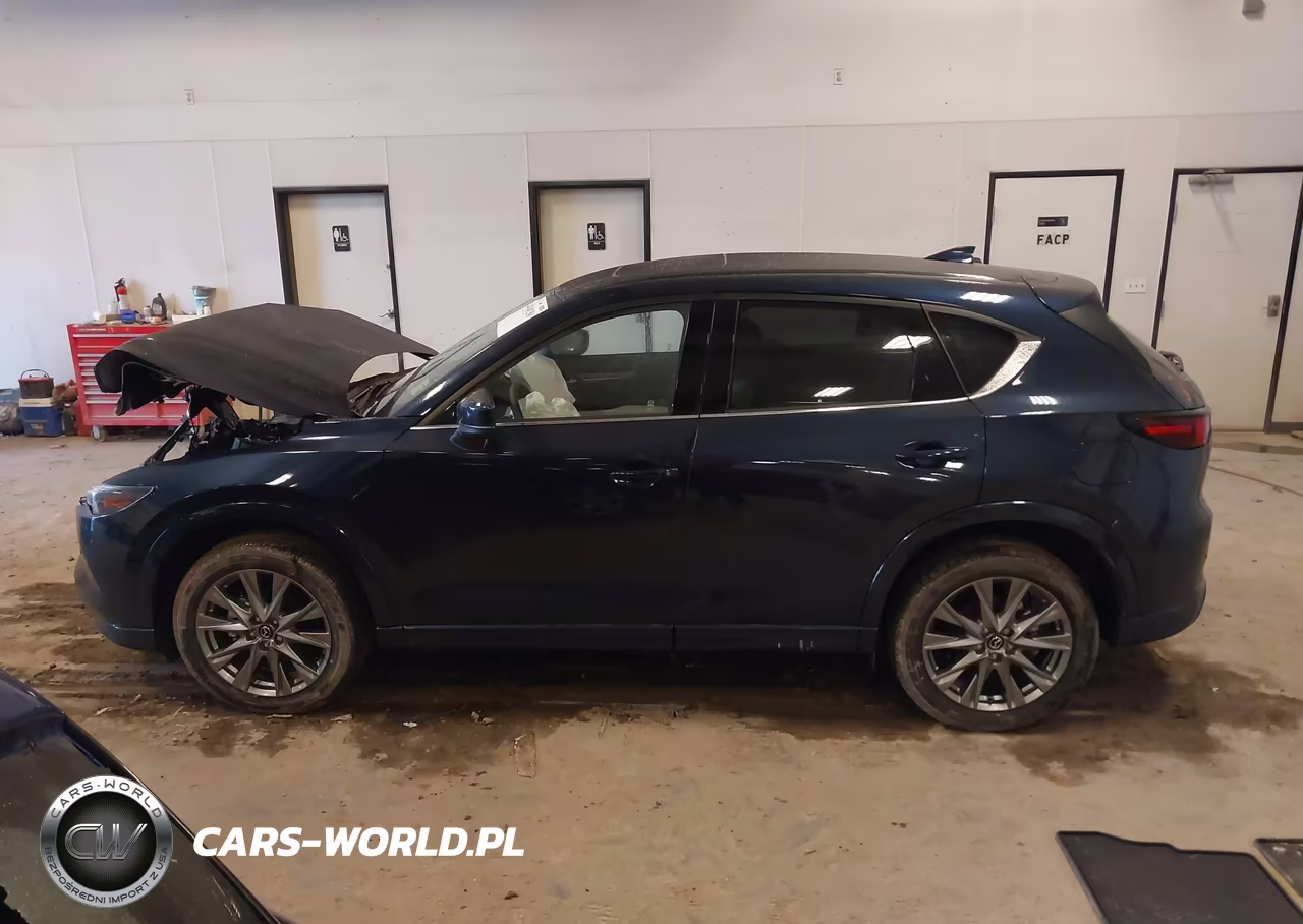 2025 Mazda Cx-5 2.5 S Premium Plus VIN:JM3KFBEM6S0686764 - 14