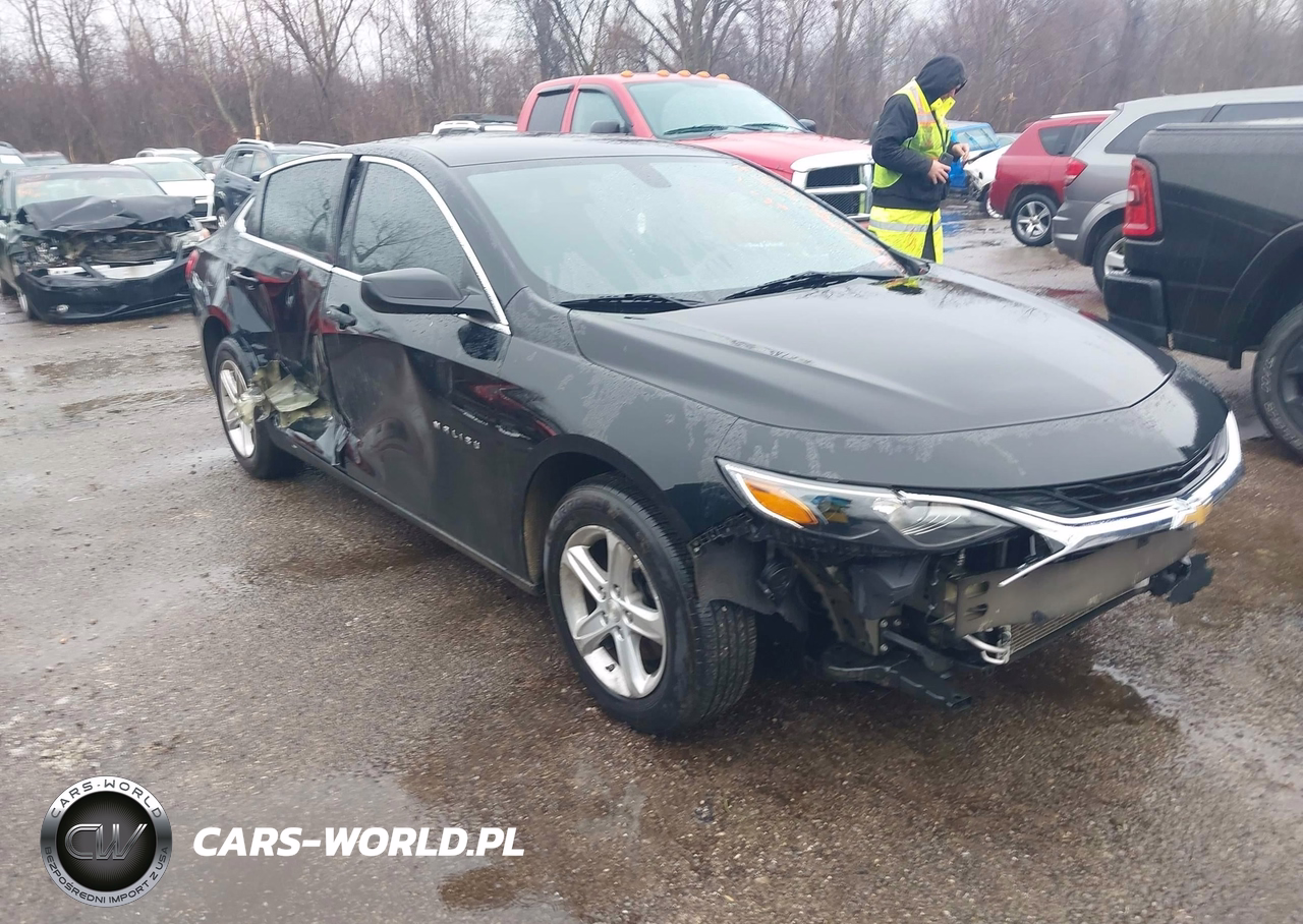 2019 Chevrolet Malibu 1Ls